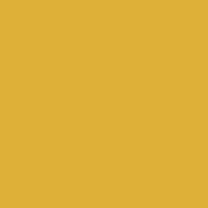 Goedkoop Paint & Paper Library Pure Flat Emulsion - Gamboge 484