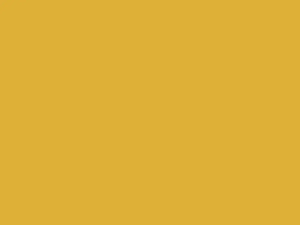 Favoriet Paint & Paper Library Architects' Eggshell - Gamboge 484