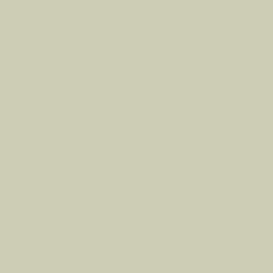 Lage Prijs Paint & Paper Library Pure Flat Emulsion - Wattle IV 564