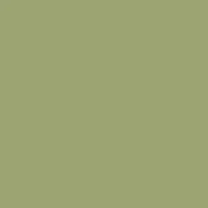 Paint & Paper Library Pure Flat Emulsion - Chelsea Green II 549 Beperkte Voorraad