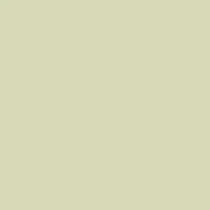 Paint & Paper Library Architects' Eggshell - Willow IV 534 Nieuw