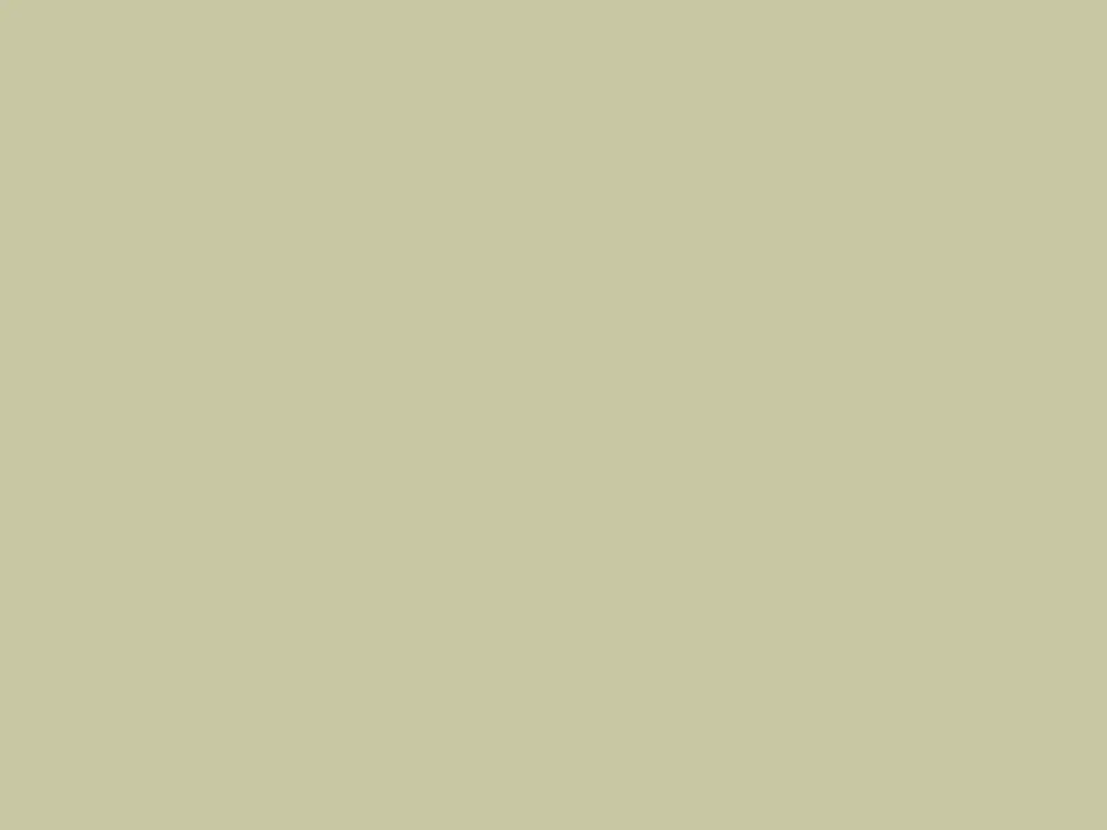 Betrouwbaar Paint & Paper Library Architects' Eggshell - Willow V 535
