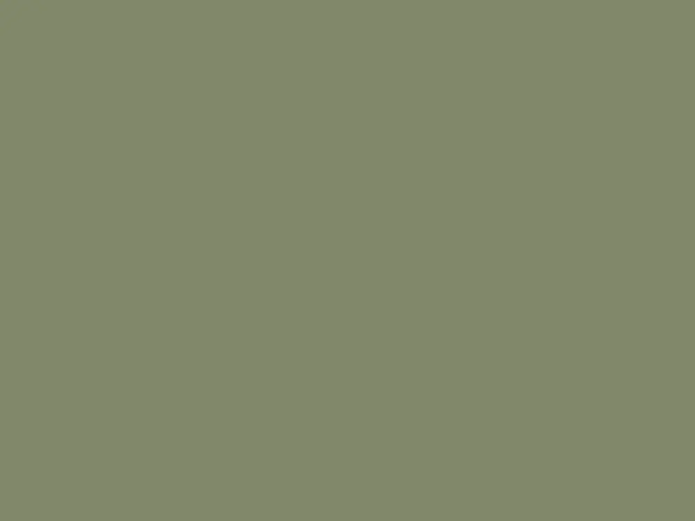 Op = Op Paint & Paper Library Pure Flat Emulsion - Sencha 569