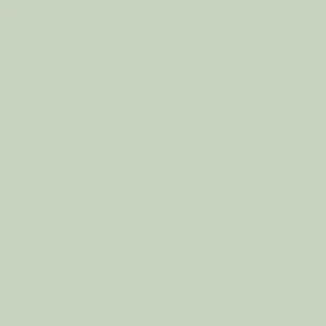 Shop Nu Paint & Paper Library Architects' Eggshell - Sprig IV 704