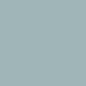 Populair Paint & Paper Library Architects' Eggshell - Sea Nor Sky 643