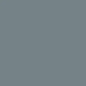 Paint & Paper Library Pure Flat Emulsion - BTWN Dog & Wolf 693 Favoriet