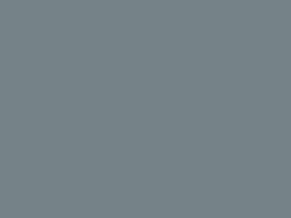 Paint & Paper Library Pure Flat Emulsion - BTWN Dog & Wolf 693 Favoriet