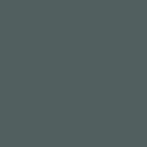 Speciale Aanbieding Paint & Paper Library Pure Flat Emulsion - Squid Ink 698