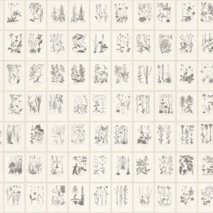 Goedkoop Sandberg Botanica - Graphite