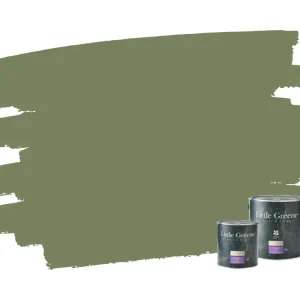Laatste Versie Little Greene Intelligent ASP - Sage Green 80