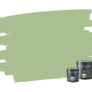 Exclusieve Aanbieding Little Greene Intelligent Exterior Eggshell - Pea Green 91