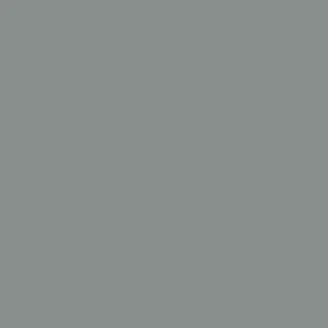 Direct Verzonden Paint & Paper Library Architects' Gloss - Tallanstown Grey 109