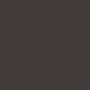 Uitverkoop Paint & Paper Library Architects' Gloss - Copper Beech 314