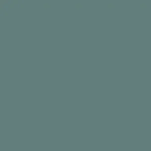 Seizoensaanbieding Paint & Paper Library Architects' Gloss - Iguana 551