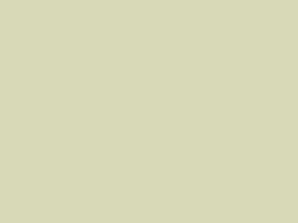 Paint & Paper Library Architects' Gloss - Willow IV 534 Superprijs