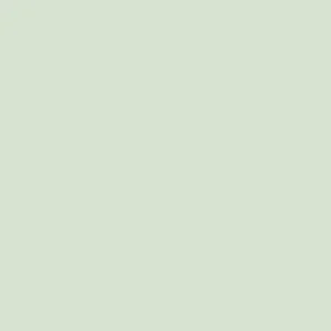 Beperkt Aanbod Paint & Paper Library Architects' Gloss - Sprig III 703