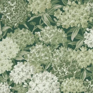 Hete Deal Little Greene Rhododendron Walk - Puck