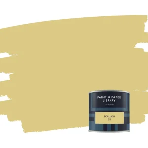 Dagaanbieding Paint & Paper Library Scallion 519 samplepotje