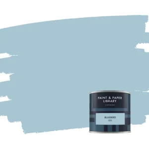 Hete Deal Paint & Paper Library Bluebird 651 samplepotje