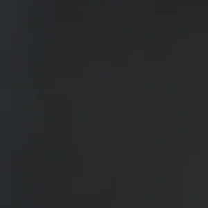 Koop Online SPC Plaat Wandpaneel Mat Zwart