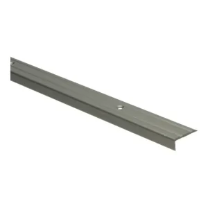 Snelle Levering Hoeklijnprofiel Schroef 10mm RVS - 300cm