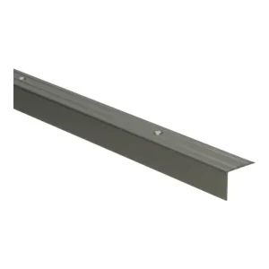 Hoeklijnprofiel Schroef 20mm RVS - 300cm Direct Verzonden
