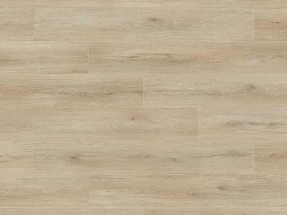 Lage Kosten Laminaat Atlantic 8 ecru Cantal Oak K653