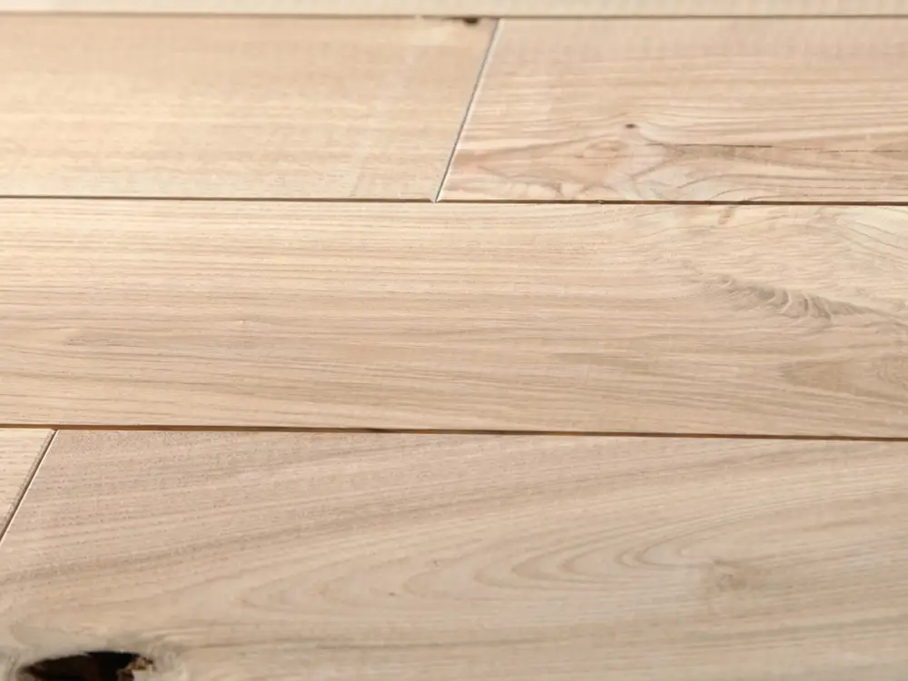 Massief houten plank essen BCD naturel Seizoensaanbieding