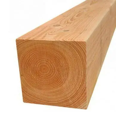 Favoriet Paal Douglas 15,0 x 15,0 cm (300 cm) fijnbezaagd