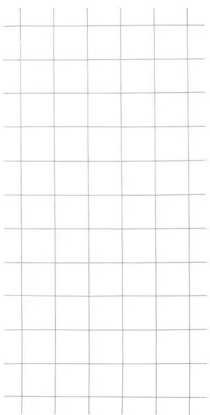 Draadmat staal - Cubic recht zwart (90 x 180 cm) Veilige Betaling