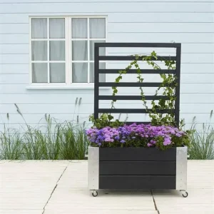 Gecertificeerd Plantenbak vuren geïmpregneerd - Cubic roomdivider zwart 87 x 50 x 130 cm