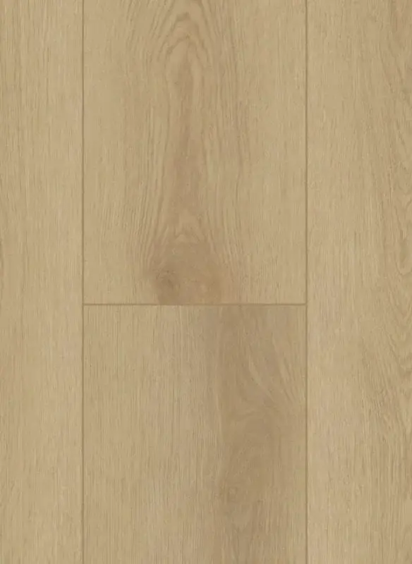 Beperkte Voorraad Gelasta Firmfit Silent Rigid Click Sierra Light 7500