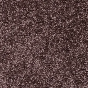 Alleen Vandaag Trend 026 Tapijt DOLCE 500 cm kleur 41 x 500,0
