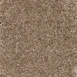 Lage Kosten Trend 026 Tapijt DOLCE 400 cm kleur 35 x 400,0