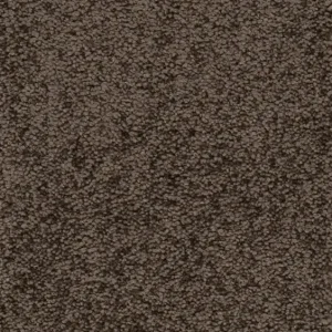 Betaalbaar Trend 026 Tapijt PLAZA 400cm kleur 94 x 400,0