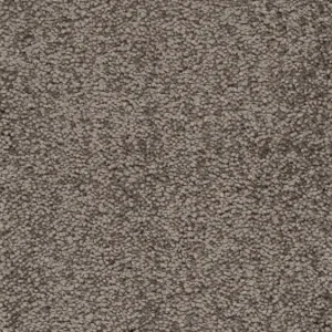 Beperkte Voorraad Trend 026 Tapijt PLAZA 400cm kleur 76 x 400,0