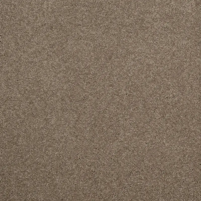 Veilige Betaling Arriva 027 Tapijt Amazing 400cm kleur 750 x 400
