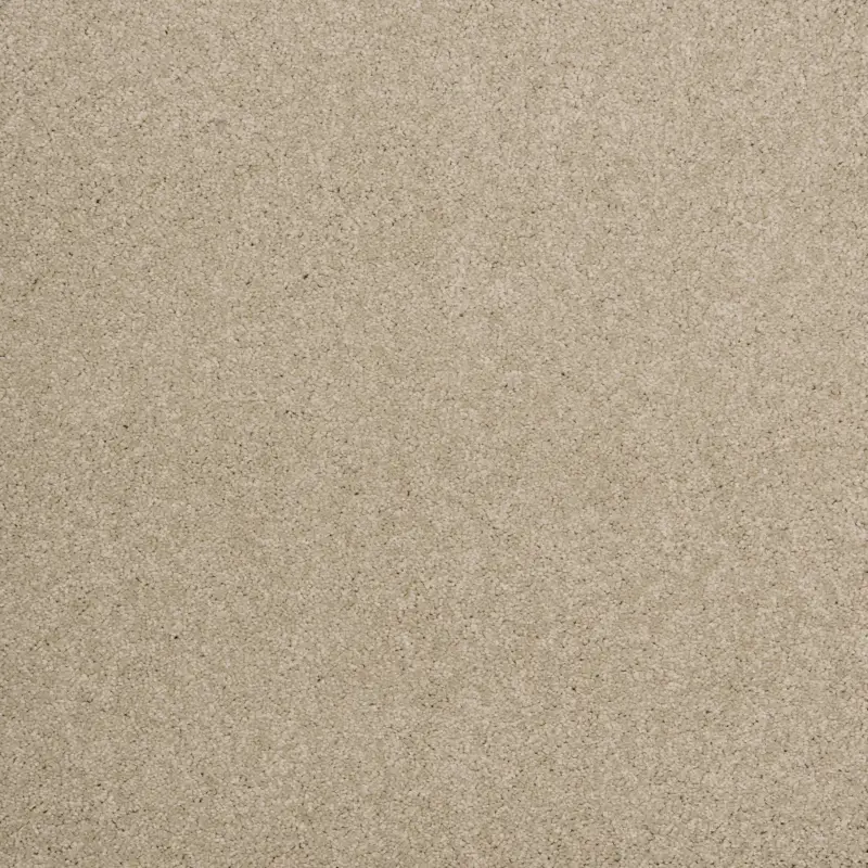 Arriva 027 Tapijt Amazing 400cm kleur 730 x 400 Uitverkoop
