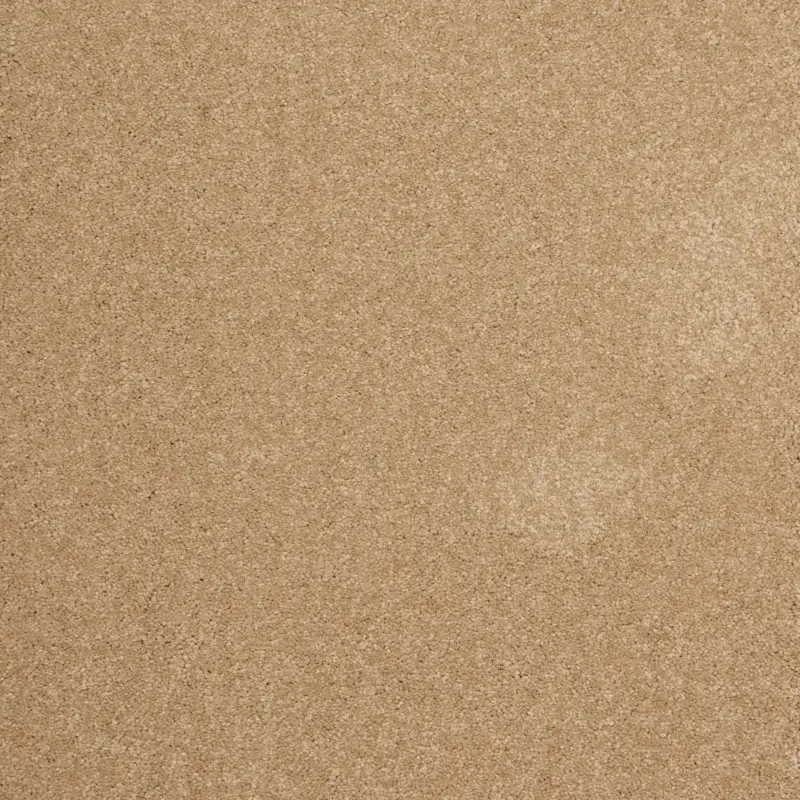 Arriva 027 Tapijt Amazing 400cm kleur 630 x 400 Actieprijs