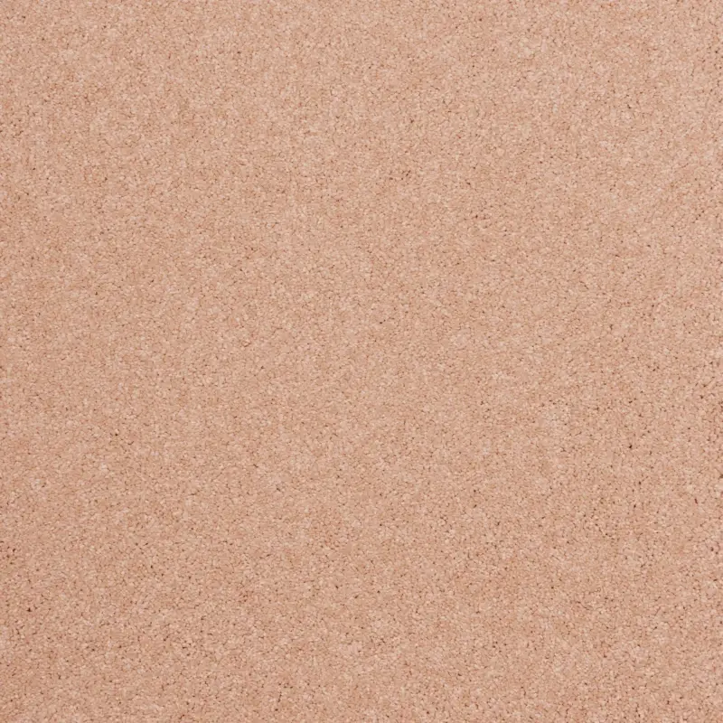 Arriva 027 Tapijt Amazing 400cm kleur 420 x 400 Veilige Betaling