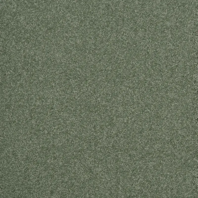 Arriva 027 Tapijt Amazing 400cm kleur 240 x 400 Gereduceerde Prijs