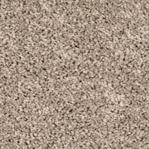 Meest Verkocht Homeline 27 Tapijt Heres 400 cm kleur 173