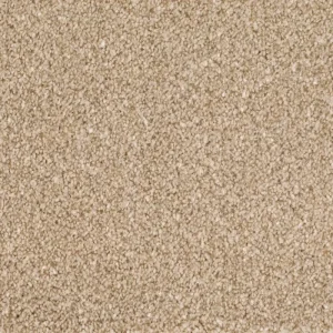 Exclusieve Aanbieding Format 25 Tapijt ANDEN 400cm kleur 250