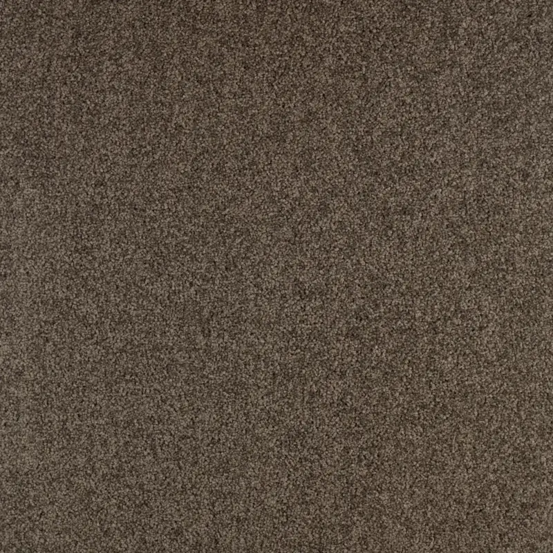 Voordeelprijs Arriva 027 Tapijt Gloria 400cm kleur 770 x 400