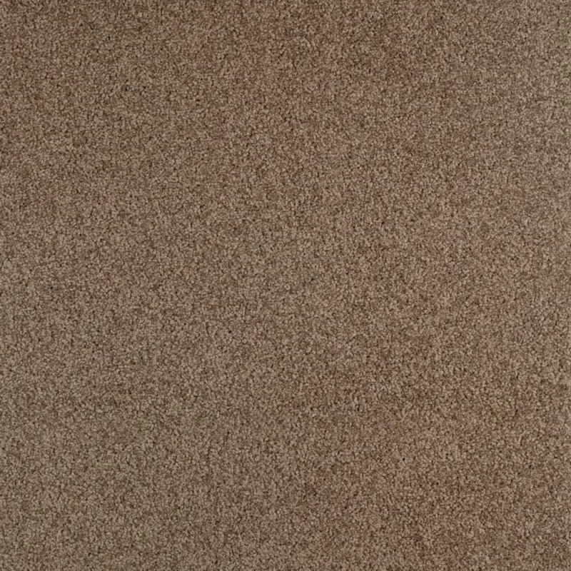 Arriva 027 Tapijt Gloria 400cm kleur 750 x 400 Beperkte Voorraad