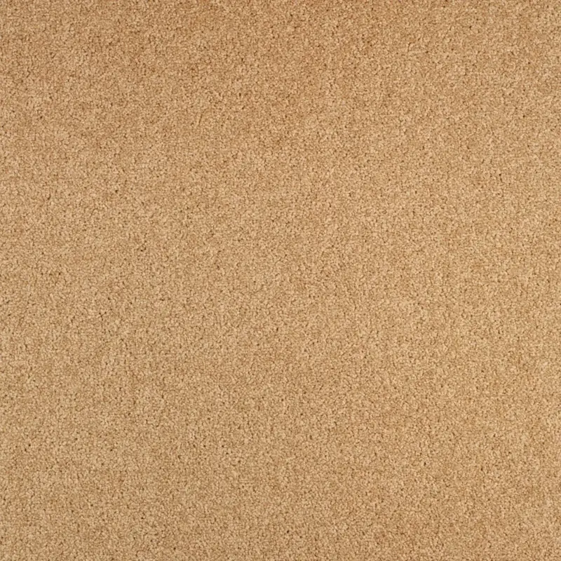 Koopje Arriva 027 Tapijt Gloria 400cm kleur 640 x 400
