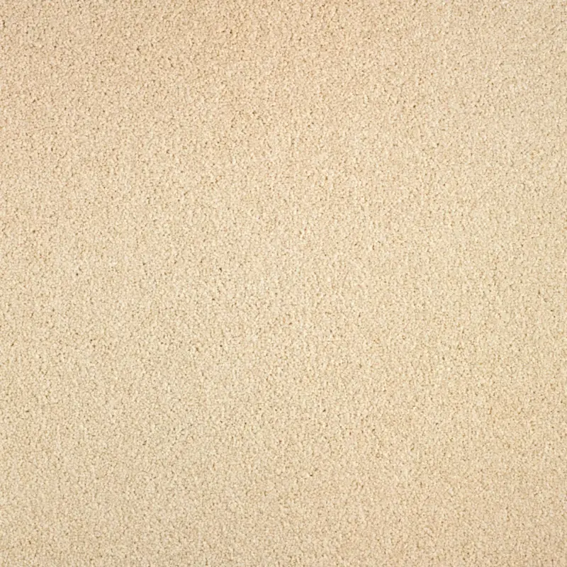 Arriva 027 Tapijt Gloria 400cm kleur 610 x 400 Hoge Kwaliteit