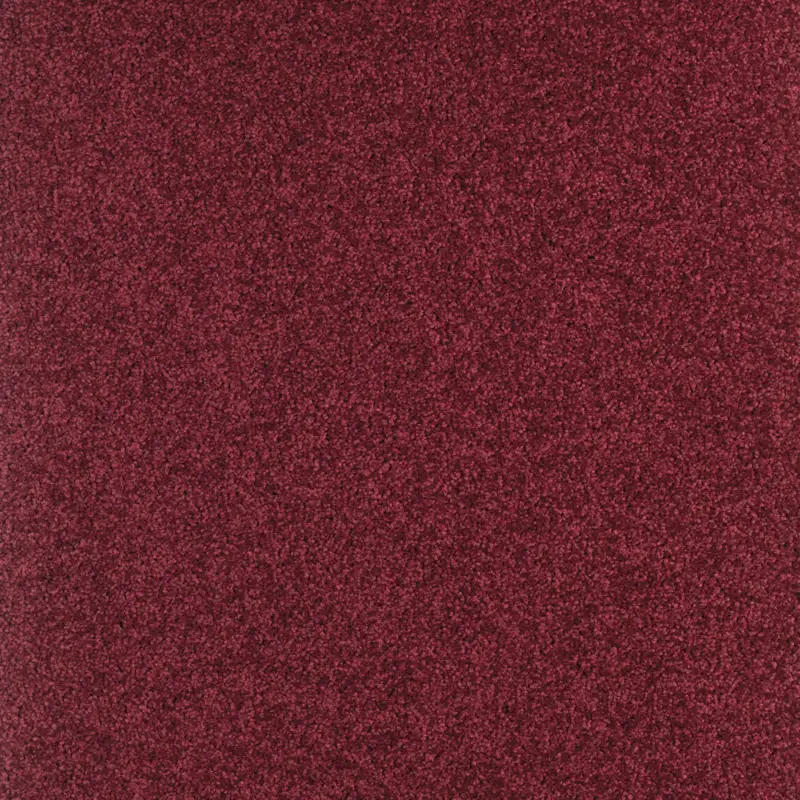 Arriva 027 Tapijt Gloria 400cm kleur 590 x 400 Direct Beschikbaar