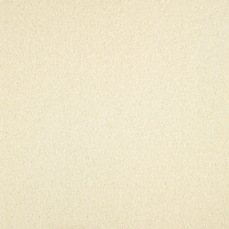 Flitsaanbieding Arriva 027 Tapijt Gloria 400cm kleur 005 x 400