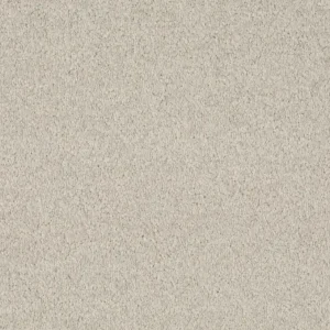 Format 25 Tapijt COSARO 400cm kleur 535 Alleen Vandaag